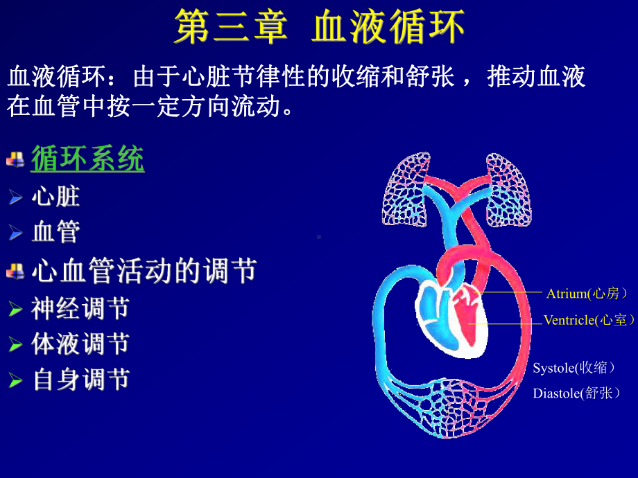 动物生理学血液循环课件ppt