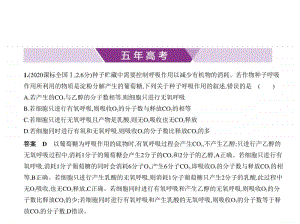 2021新高考生物复习练习课件：专题5　细胞呼吸.pptx