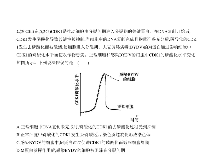 2021新高考生物复习练习课件：专题7　细胞的增殖.pptx_第2页