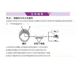 2021新高考生物复习练习课件：专题8　细胞的分化、衰老与死亡.pptx