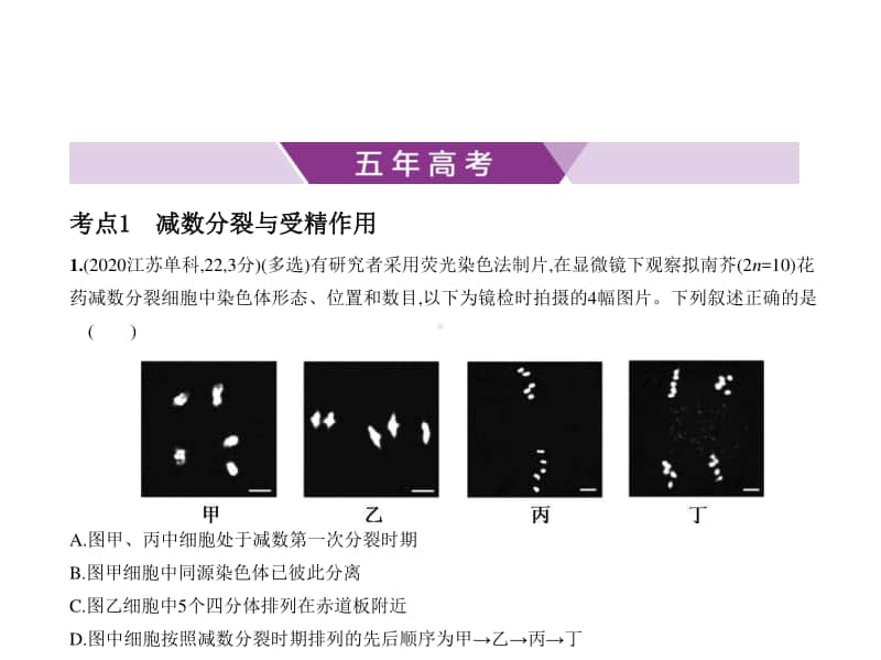 2021新高考生物复习练习课件：专题9　遗传的细胞基础.pptx_第1页