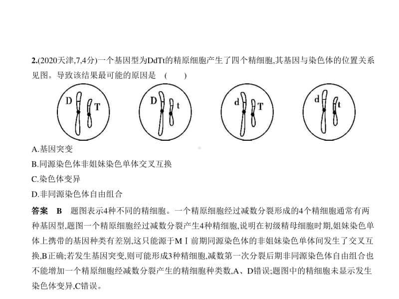 2021新高考生物复习练习课件：专题14　生物的变异与育种.pptx_第3页