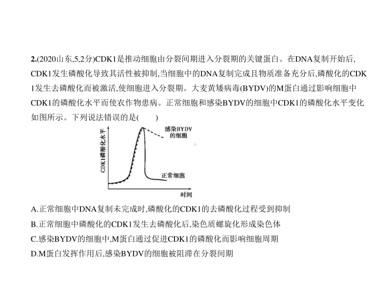 2021年新课标（老高考）生物复习练习课件：专题7　细胞的增殖.pptx_第2页