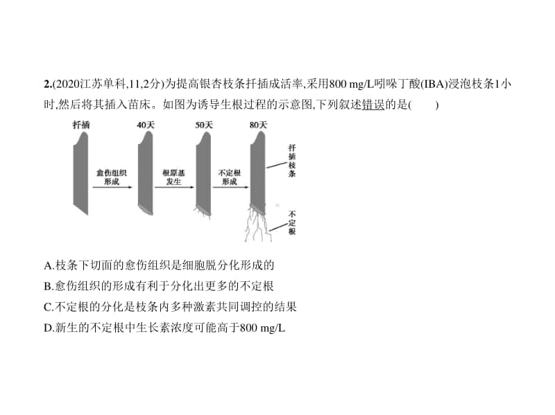 2021年新课标（老高考）生物复习练习课件：专题20　植物激素调节.pptx_第3页