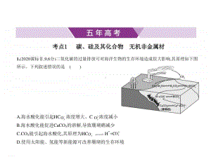 2021年新课标（老高考）化学复习练习课件：专题六　非金属及其化合物.pptx