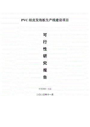 PVC结皮发泡板生产建设项目可行性研究报告.doc