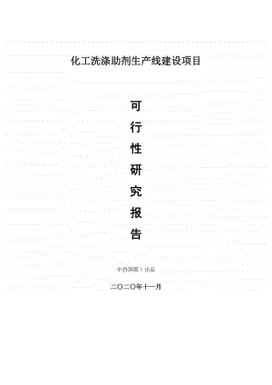 化工洗涤助剂生产建设项目可行性研究报告.doc