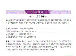 2021年新课标（老高考）政治复习练习课件：专题九　文化与生活.pptx