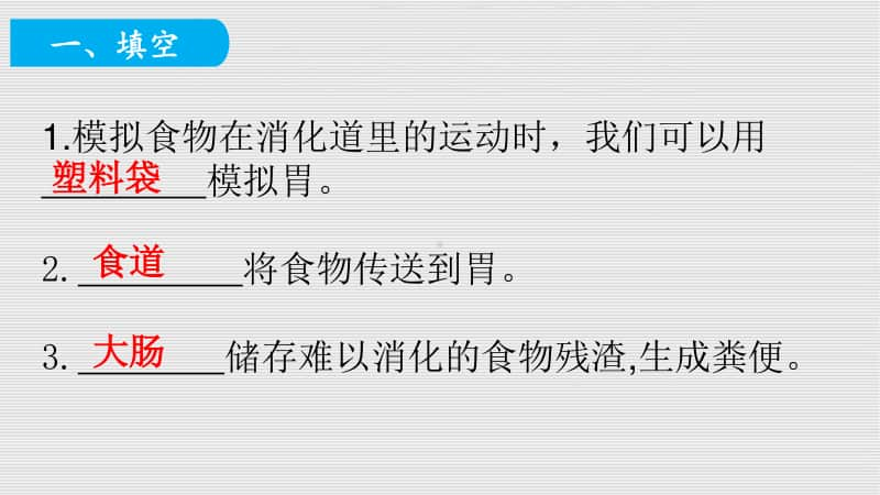 2020新教科版四年级上册《科学》2.8食物在身体里的旅行课时练习题ppt课件.pptx_第2页