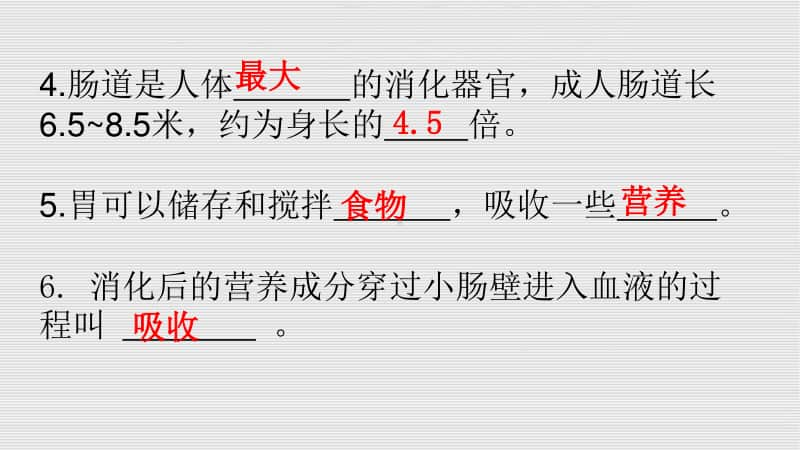 2020新教科版四年级上册《科学》2.8食物在身体里的旅行课时练习题ppt课件.pptx_第3页