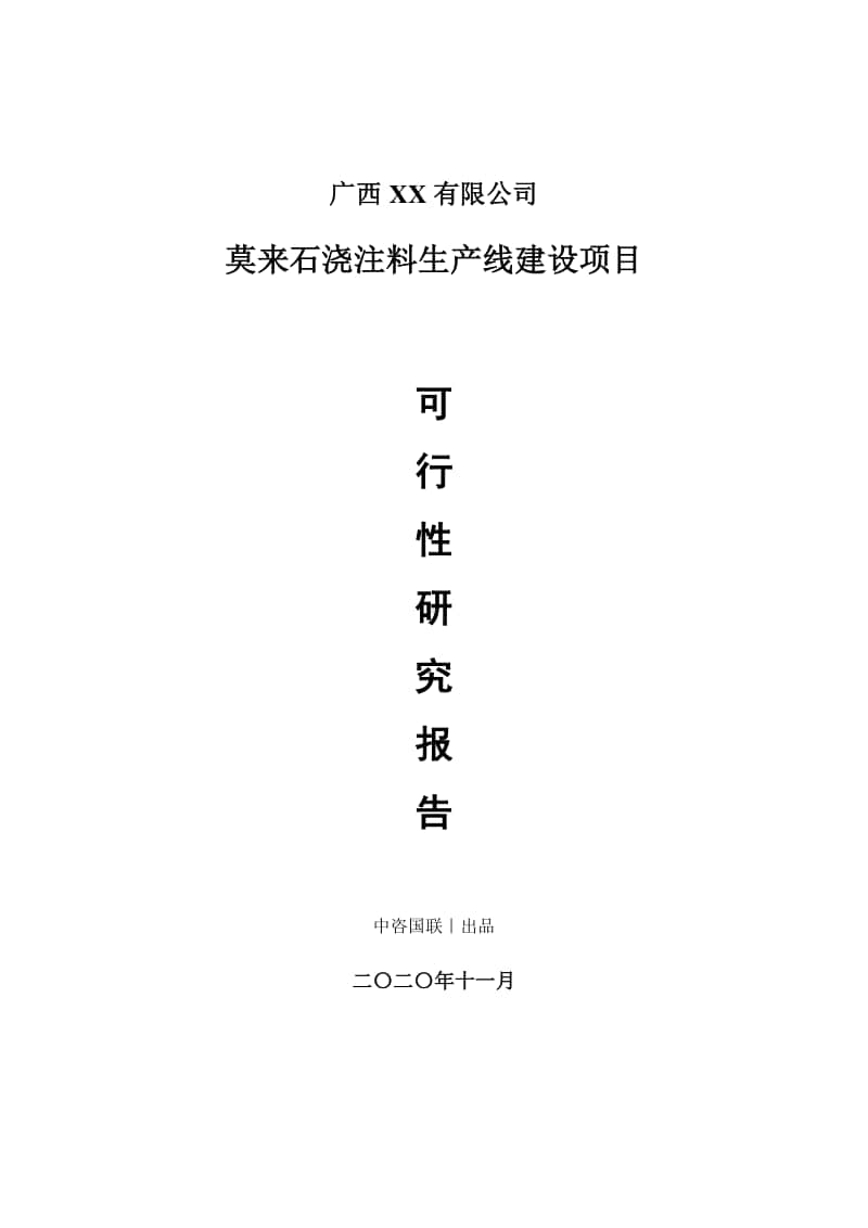 莫来石浇注料生产建设项目可行性研究报告.doc_第1页