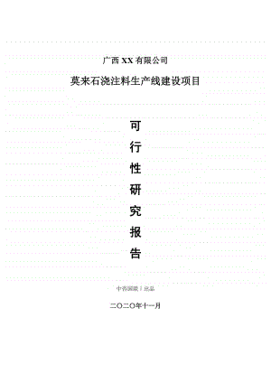 莫来石浇注料生产建设项目可行性研究报告.doc