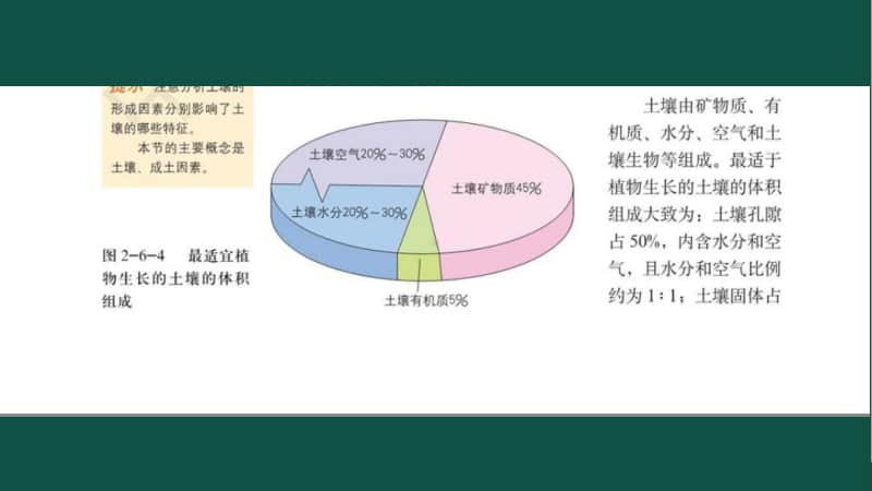 中图版高中地理必修一第二章第六节土壤的主要形成因素16页PPT（2020江西省初高中地理 优秀课例现场展示活动）.ppt_第3页