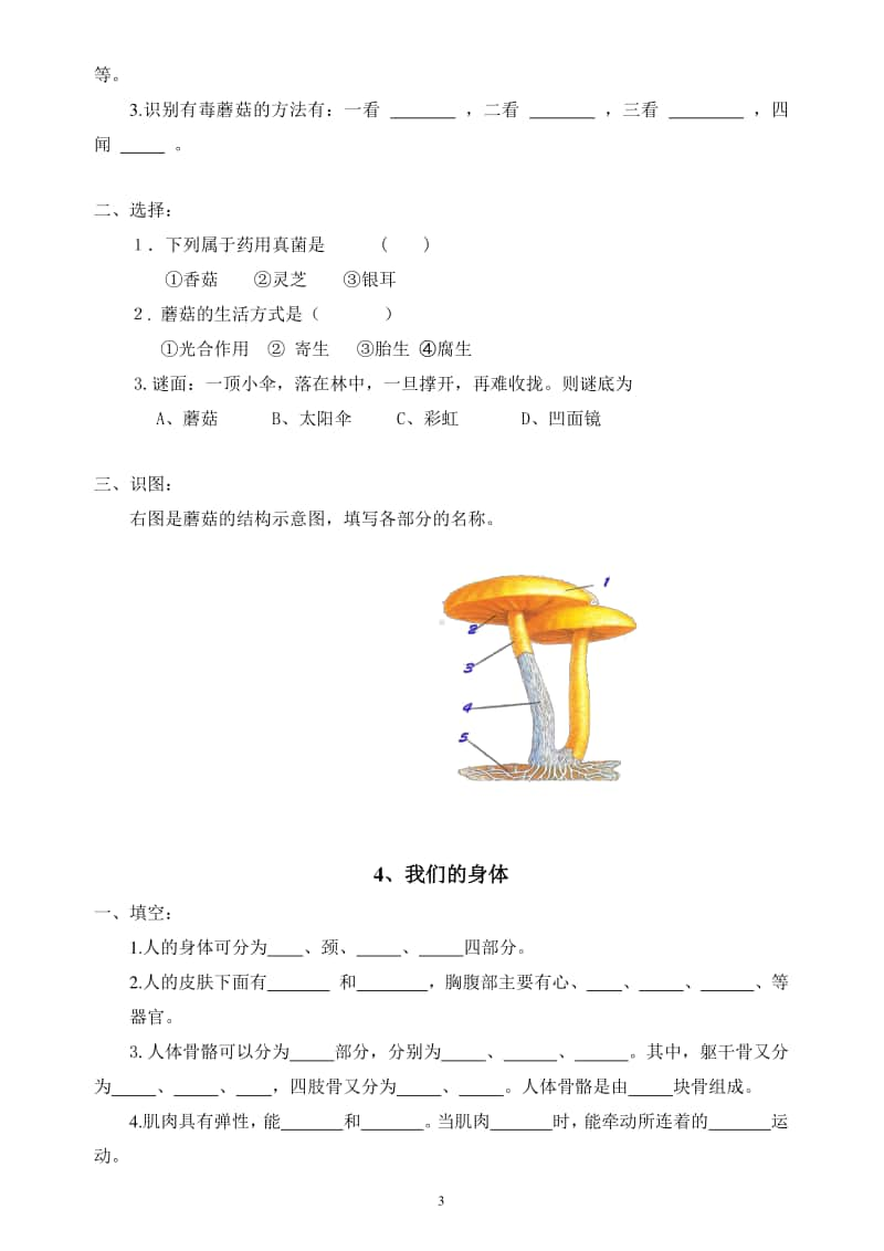 五四制青岛版小学科学五年级上册各课知识点.doc_第3页