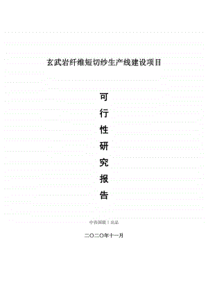 玄武岩纤维短切纱生产建设项目可行性研究报告.doc