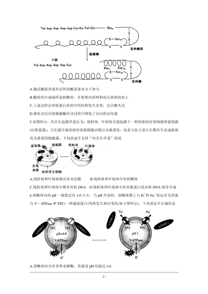 安徽省“江淮十校”2021届高三第二次质量检测（11月） 生物试题 Word版含答案.doc_第2页