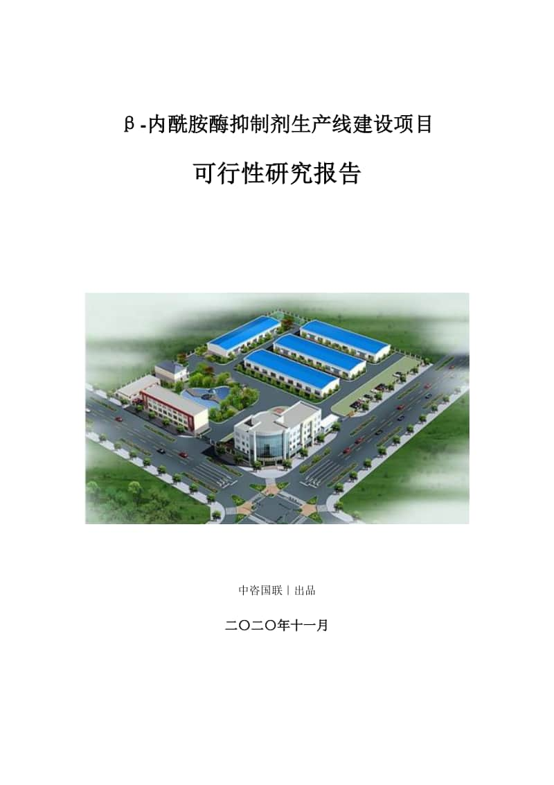 β-内酰胺酶抑制剂生产建设项目可行性研究报告.doc_第1页