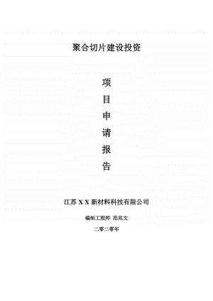 聚合切片建设项目申请报告-建议书可修改模板.doc