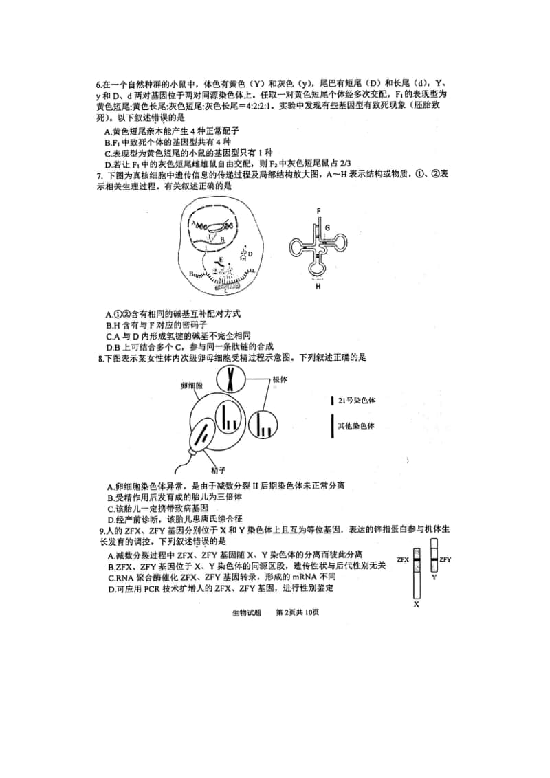 江苏省徐州市2021届高三上学期期中抽测生物试卷含答案.doc_第2页