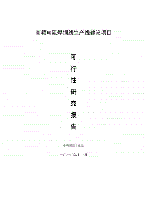 高频电阻焊铜线生产建设项目可行性研究报告.doc