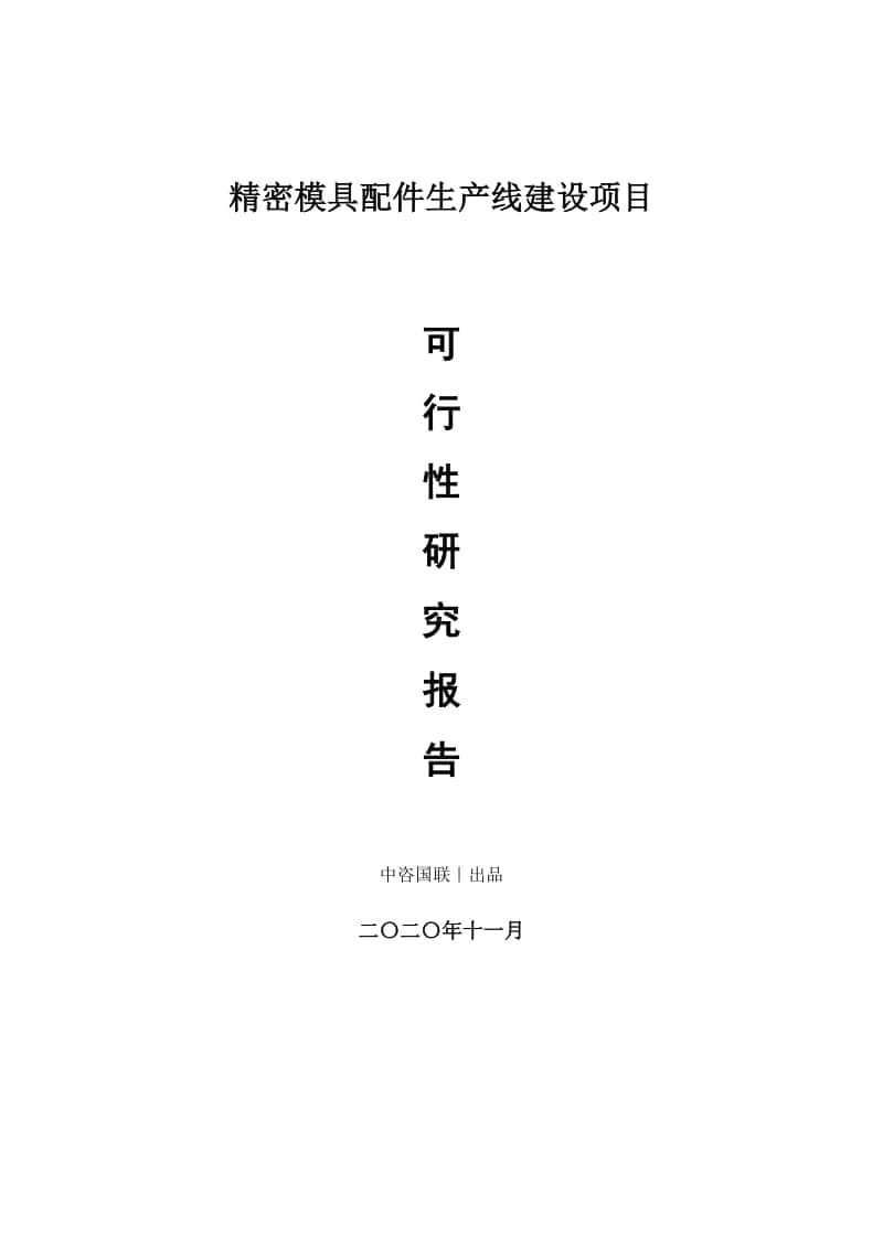 精密模具配件生产建设项目可行性研究报告.doc_第1页