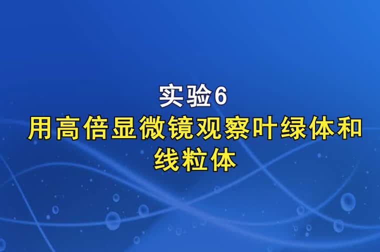 实验6用高倍显微镜观察叶绿体和线粒体（高三一轮复习系列2021版步步高生物《大一轮复习讲义》）.mp4