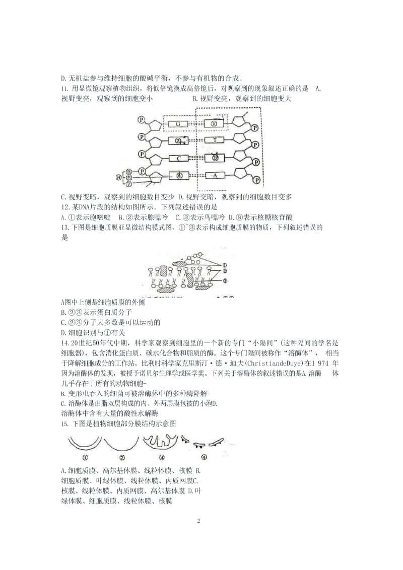 南师附中2020—2021学年高一上学期生物期中考试卷及答案.docx_第2页