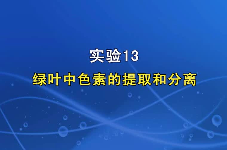 实验13绿叶中色素的提取和分离（高三一轮复习系列2021版步步高生物《大一轮复习讲义》）.mp4