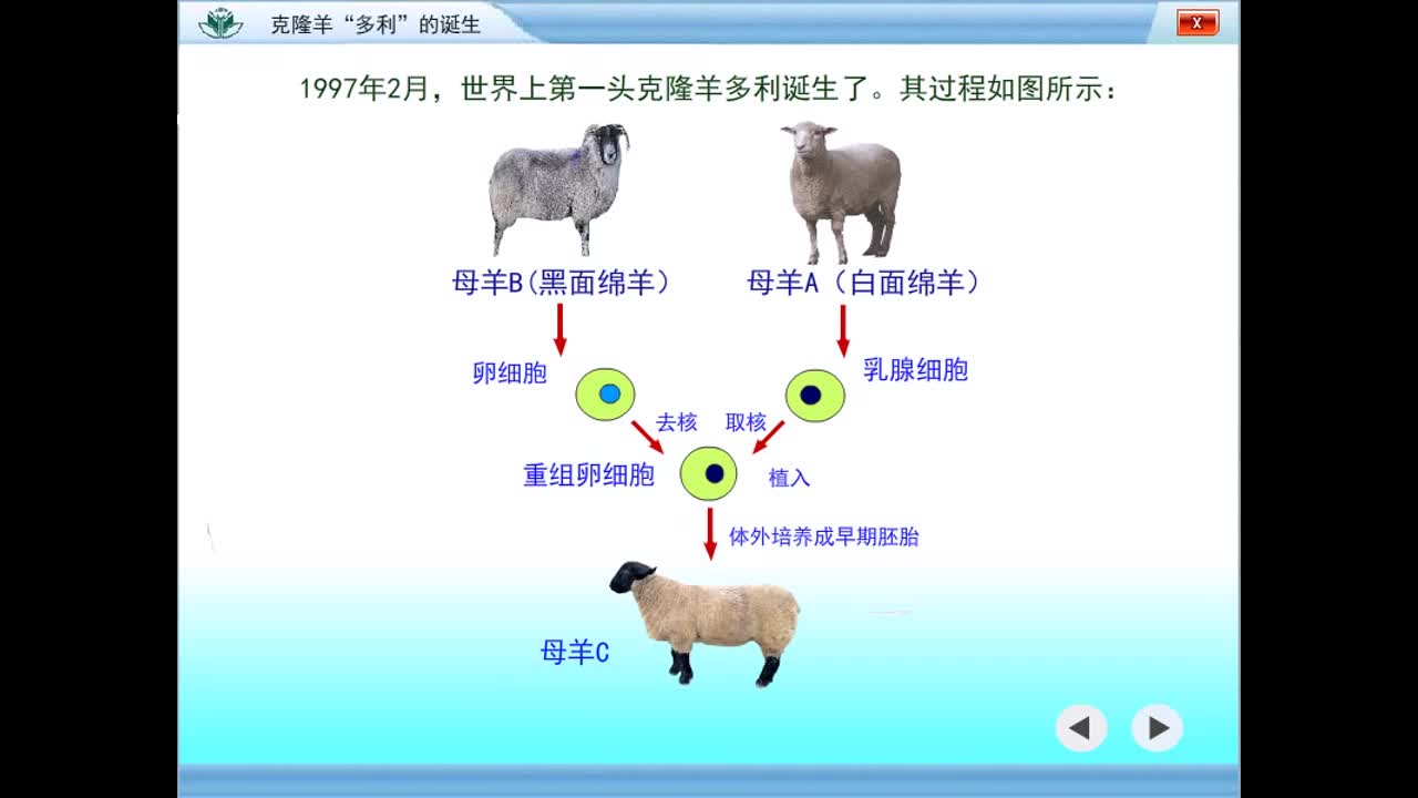 克隆羊“多利”的诞生（高三一轮复习系列2021版步步高生物《大一轮复习讲义》）.mp4