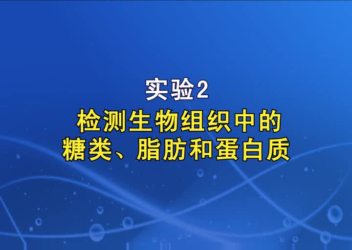 实验2检测生物组织中的糖类、脂肪和蛋白质（高三一轮复习系列2021版步步高生物《大一轮复习讲义》）.MP4