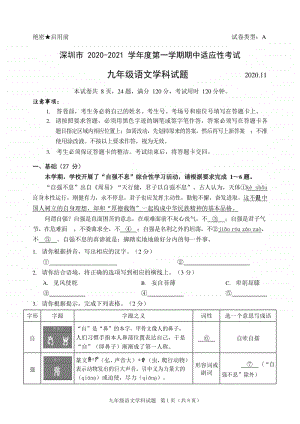 深圳市2020-2021九年级初三第一学期期中语文试卷及答案.docx