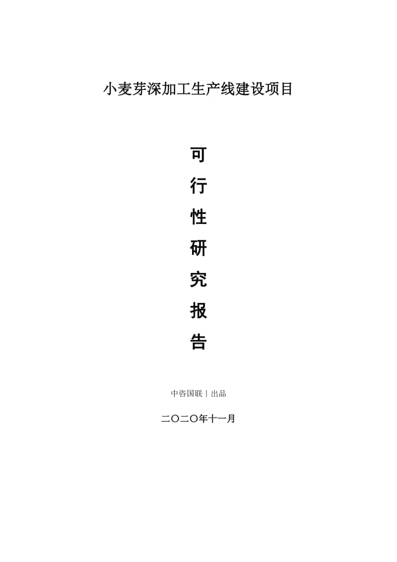 小麦芽深加工生产建设项目可行性研究报告.doc_第1页