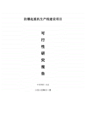 防爆起重机生产建设项目可行性研究报告.doc