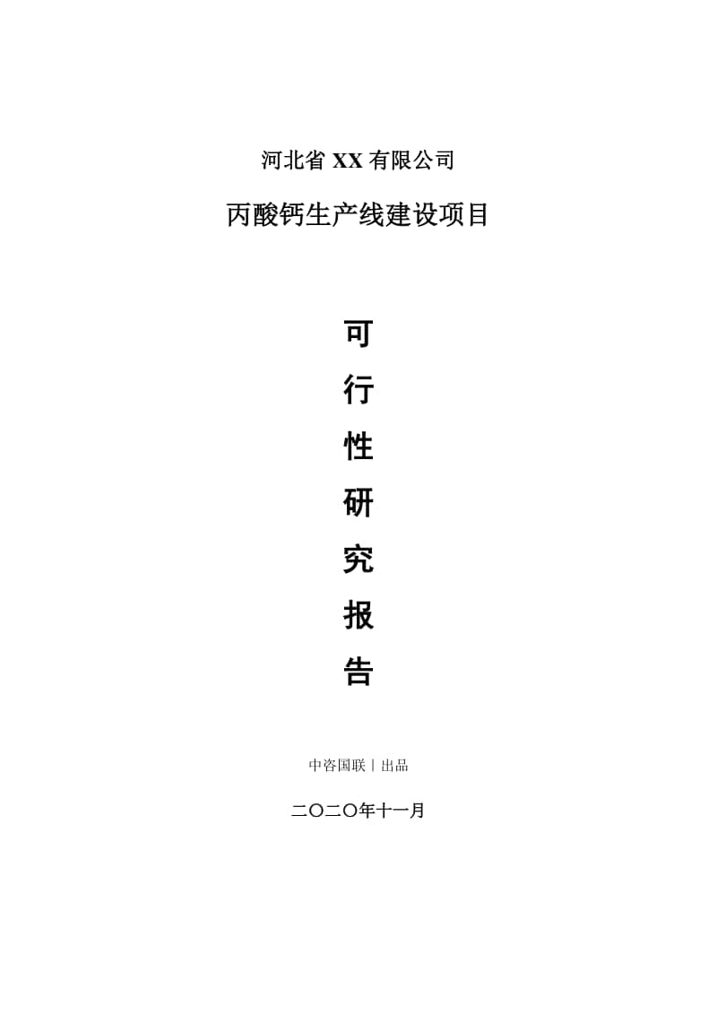 丙酸钙生产建设项目可行性研究报告.doc_第1页