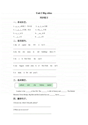 外研版剑桥版六年级上册英语unit 2 big cities.同步练习题3（含答案）.doc