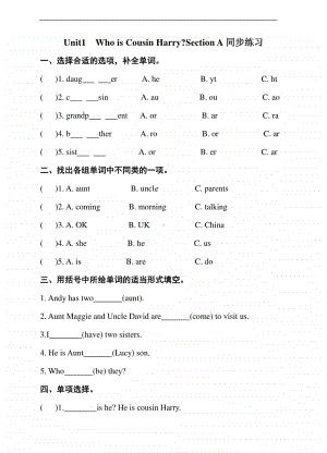 湘鲁版六年级上册英语unit1who is cousin harrysection a同步练习题（含答案）.doc