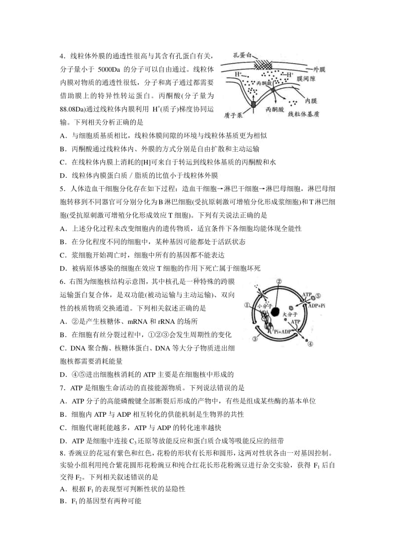 山东省潍坊市2021届高三上学期期中考试生物试题.docx_第2页