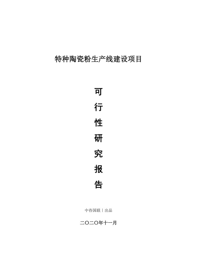 特种陶瓷粉生产建设项目可行性研究报告.doc_第1页