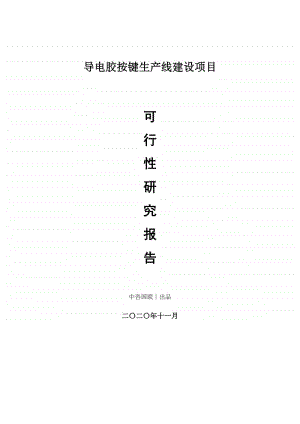 导电胶按键生产建设项目可行性研究报告.doc