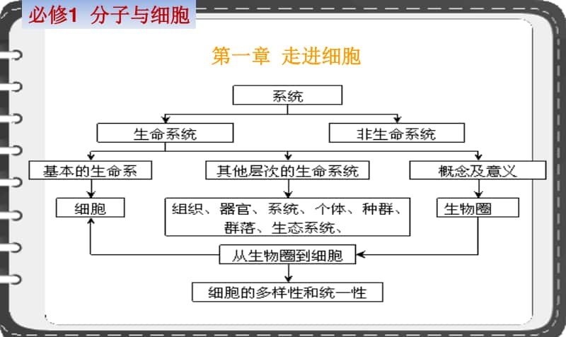 3 最新高中生物概念图全套 (150张PPT).pptx_第3页