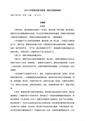 2021中考语文复习针对性考点专练：现代文阅读训练（附答案解析）.docx