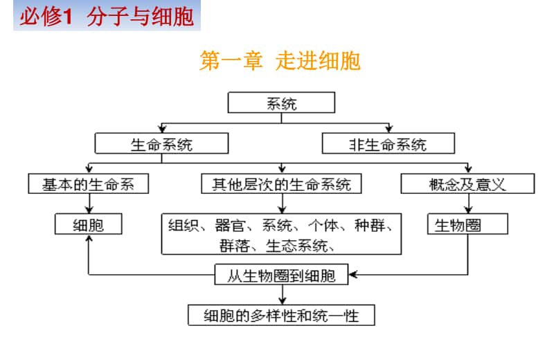 高中生物概念图全套(150张PPT).pptx_第3页