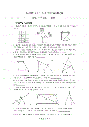 八年级半期考试专题复习（定稿）.pdf