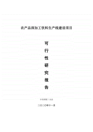 农产品深加工饮料生产建设项目可行性研究报告.doc