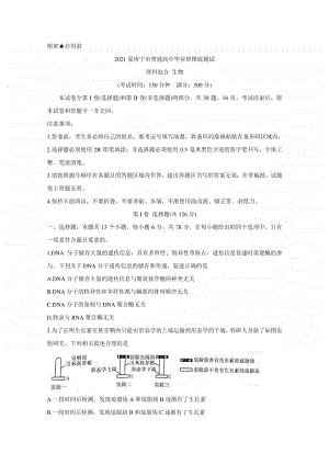 广西南宁市2021届高三10月模拟考试 生物（含答案）.doc