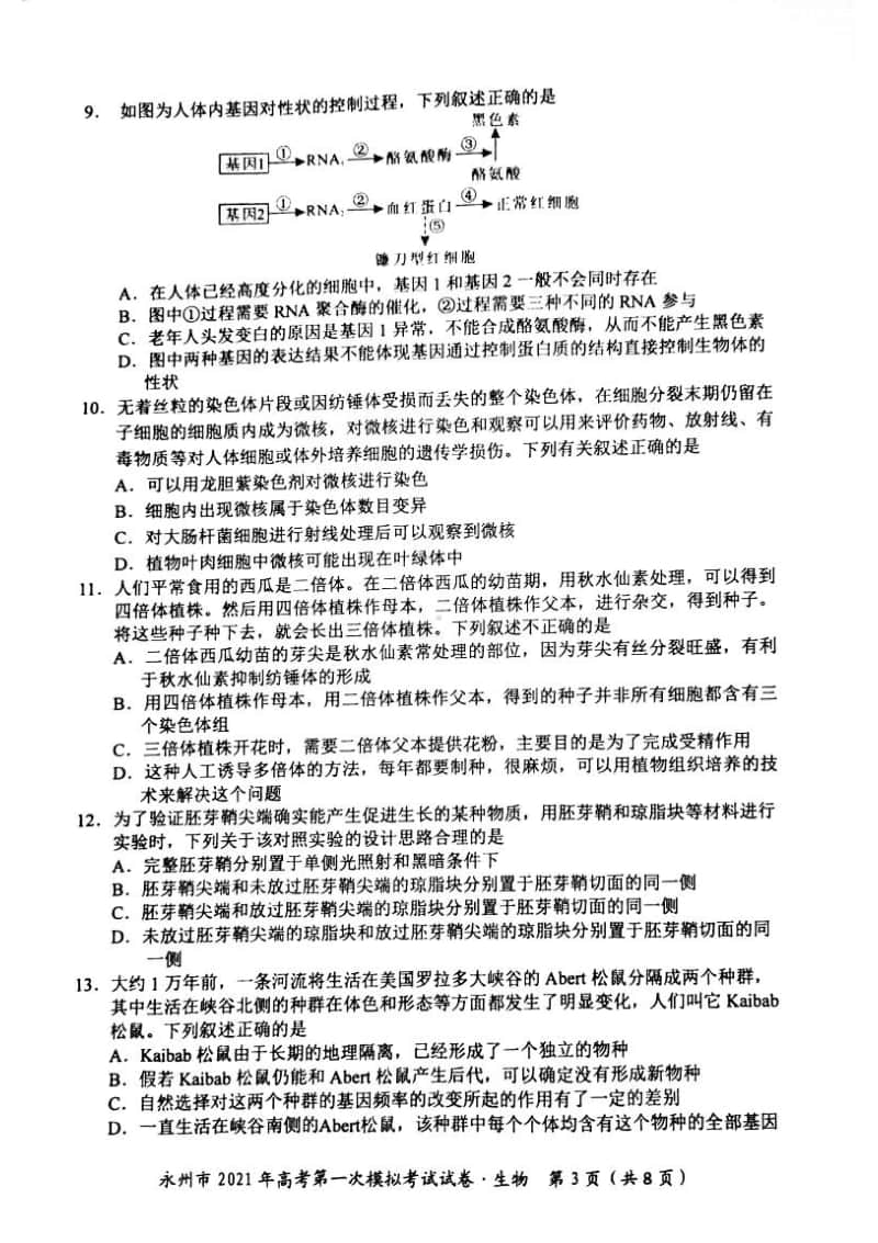 湖南省永州市2021届高三10月第一次模拟生物试题（含答案）.pdf_第3页