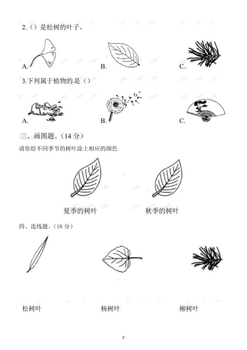 小学科学教科版一年级上册期中测试卷2.doc_第2页