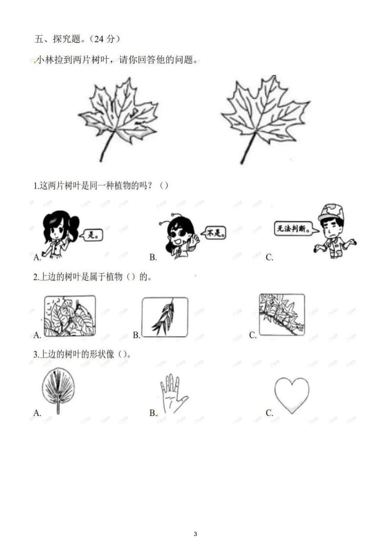 小学科学教科版一年级上册期中测试卷2.doc_第3页