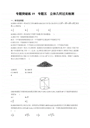 2021新高考数学二轮复习：专题突破练19　专题五　立体几何过关检测.docx