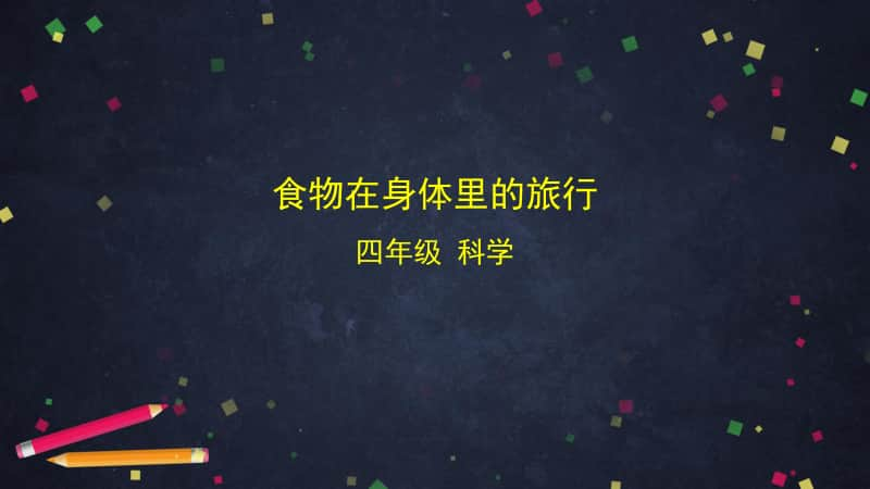 2020新教科版四年级上册科学2.8 食物在身体里的旅行ppt课件.pptx_第1页